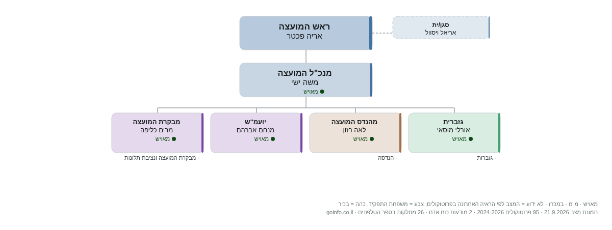 אזור - מבנה ארגוני: ראש העיר, מנכ