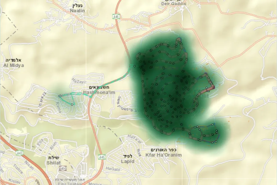 מפת קווי האוטובוס במודיעין עילית
